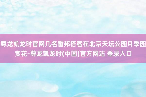尊龙凯龙时官网几名番邦搭客在北京天坛公园月季园赏花-尊龙凯龙时(中国)官方网站 登录入口