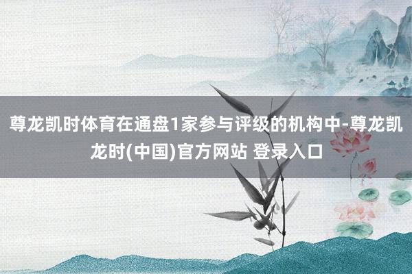 尊龙凯时体育在通盘1家参与评级的机构中-尊龙凯龙时(中国)官方网站 登录入口