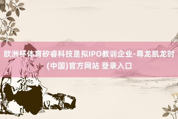 欧洲杯体育矽睿科技是拟IPO教训企业-尊龙凯龙时(中国)官方网站 登录入口