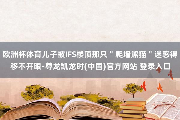 欧洲杯体育儿子被IFS楼顶那只＂爬墙熊猫＂迷惑得移不开眼-尊龙凯龙时(中国)官方网站 登录入口