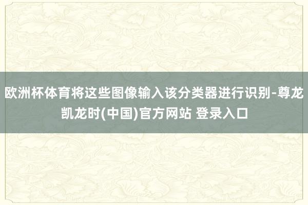 欧洲杯体育将这些图像输入该分类器进行识别-尊龙凯龙时(中国)官方网站 登录入口