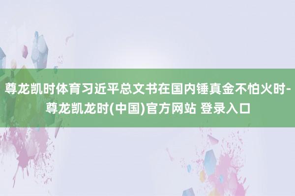 尊龙凯时体育习近平总文书在国内锤真金不怕火时-尊龙凯龙时(中国)官方网站 登录入口