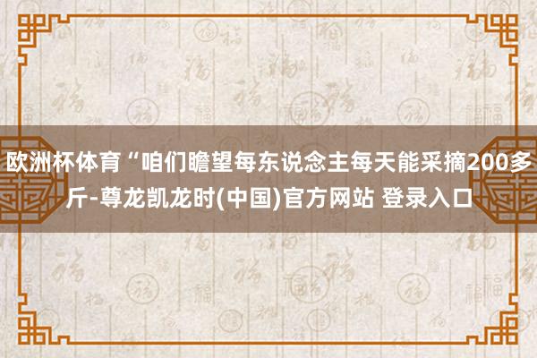 欧洲杯体育“咱们瞻望每东说念主每天能采摘200多斤-尊龙凯龙时(中国)官方网站 登录入口