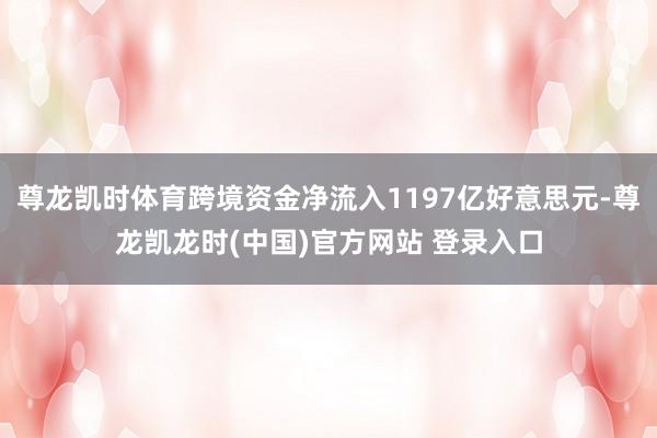 尊龙凯时体育跨境资金净流入1197亿好意思元-尊龙凯龙时(中国)官方网站 登录入口