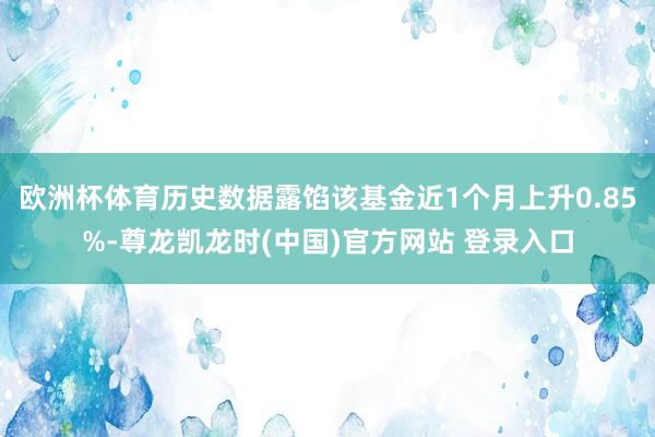 欧洲杯体育历史数据露馅该基金近1个月上升0.85%-尊龙凯龙时(中国)官方网站 登录入口