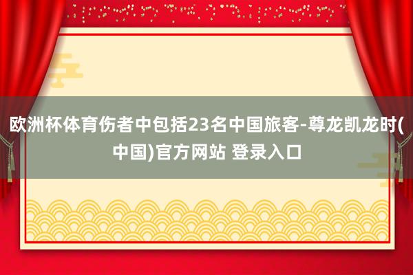 欧洲杯体育伤者中包括23名中国旅客-尊龙凯龙时(中国)官方网站 登录入口