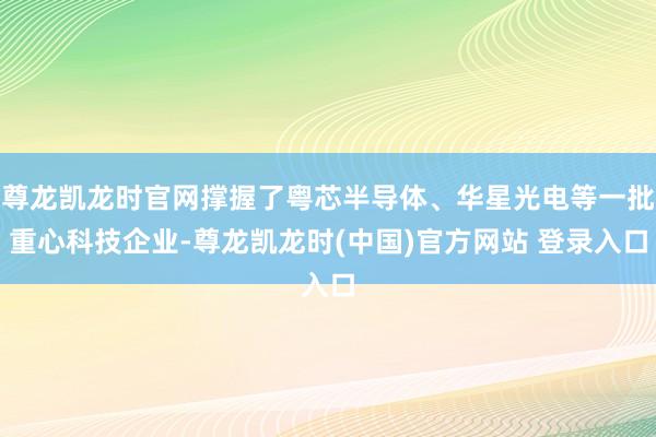 尊龙凯龙时官网撑握了粤芯半导体、华星光电等一批重心科技企业-尊龙凯龙时(中国)官方网站 登录入口
